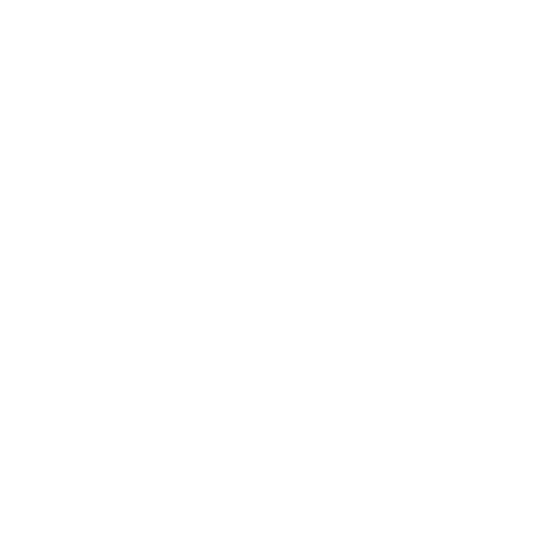 Smith Insights logo